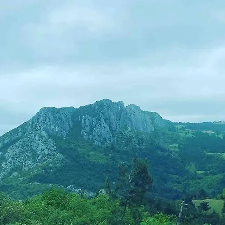 Saracoglu Dag Evi 4* ساكاريا