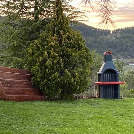 Saracoglu Dag Evi 4*