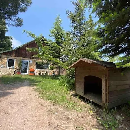 Saracoglu Dag Evi 4* ساكاريا