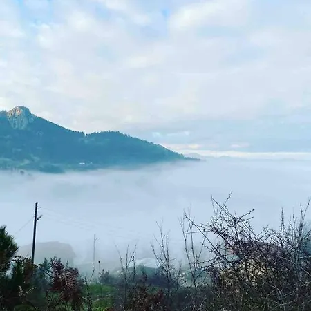Saracoglu Dag Evi