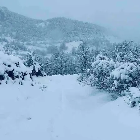 فندق Saracoglu Dag Evi ساكاريا
