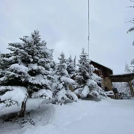 Saracoglu Dag Evi 4*