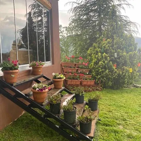 Saracoglu Dag Evi فندق ساكاريا