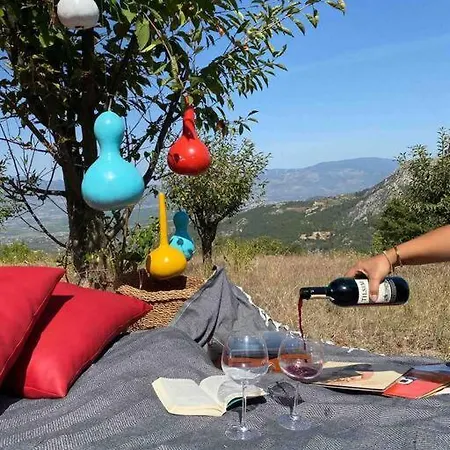Saracoglu Dag Evi فندق