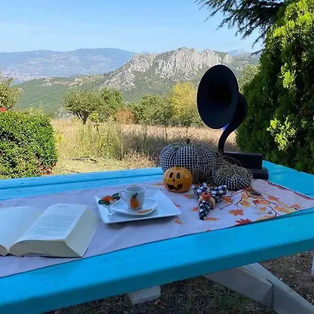 Saracoglu Dag Evi 4* ساكاريا