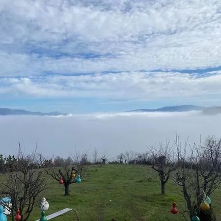 فندق Saracoglu Dag Evi 4*