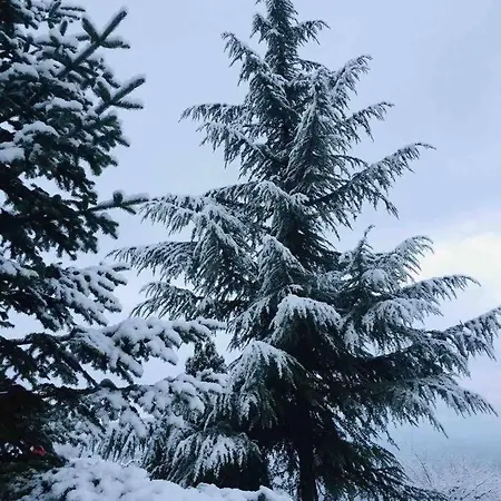 Saracoglu Dag Evi فندق 4*