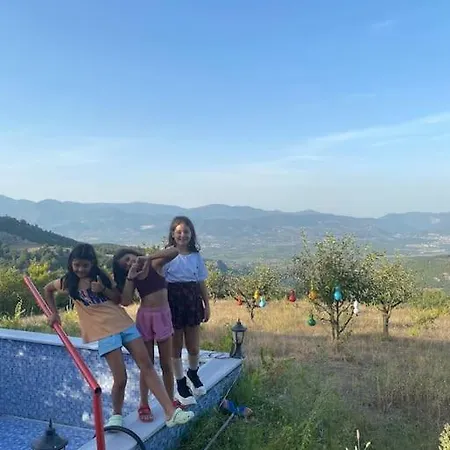 Saracoglu Dag Evi 4* ساكاريا