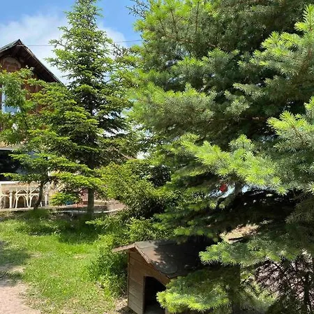 Saracoglu Dag Evi فندق ساكاريا