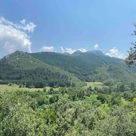 Saracoglu Dag Evi 4*