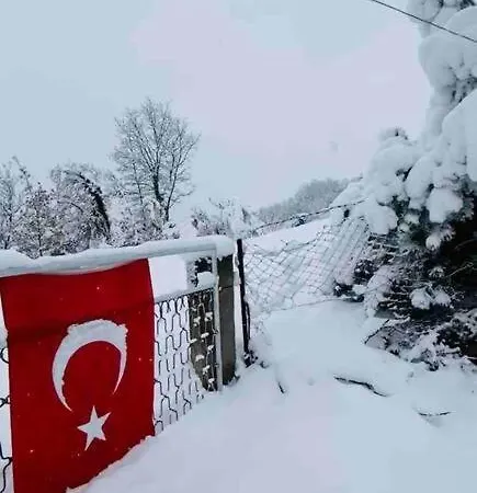 Saracoglu Dag Evi