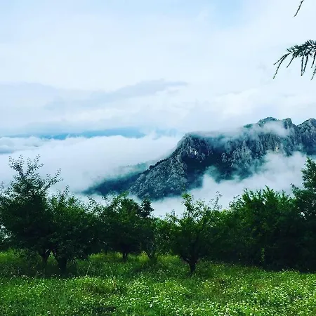 Saracoglu Dag Evi 4* ساكاريا