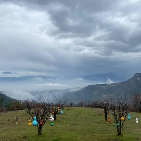 Saracoglu Dag Evi فندق 4*
