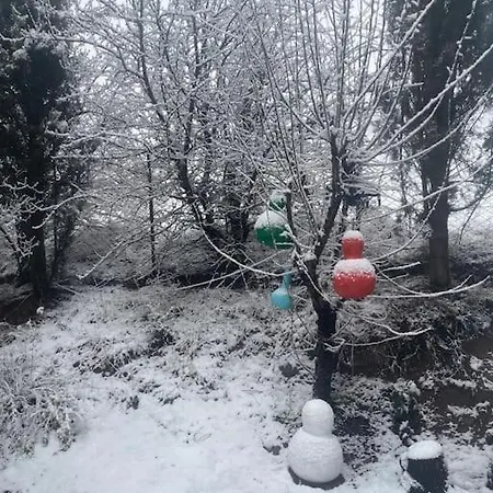 Saracoglu Dag Evi 4* ساكاريا
