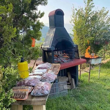 Saracoglu Dag Evi